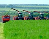 Белый дом утвердил программу развития сельского хозяйства до 2020 года