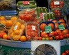 В Хакасии появится «овощная биржа» 
