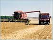 Ульяновские аграрии собрали самый большой за 15 лет урожай зерновых