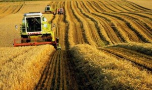 Украина: Правительство способствует модернизации отечественного производства сельхозмашин