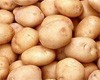 В Германии разгорелся картофельный скандал на 1 млрд евро