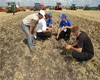 Орловских фермеров обяжут проводить экскурсии по своим фермам
